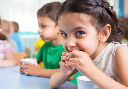 安卓ddos攻击工具